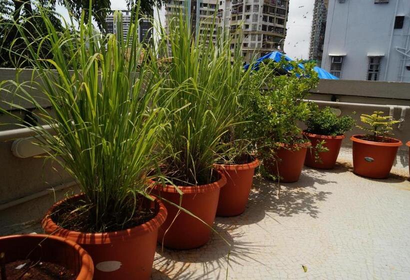 בית מלון כפרי Kumkum