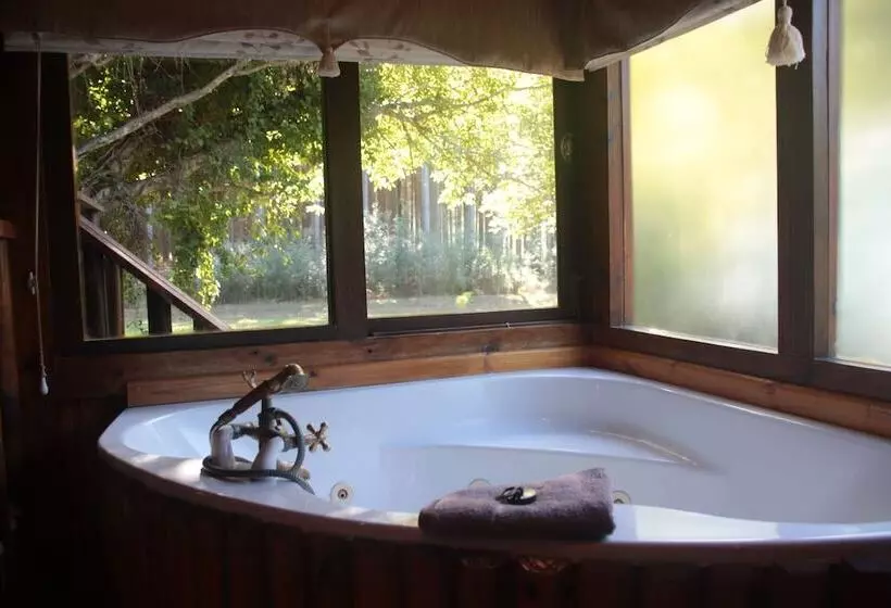 호텔 Tsitsikamma Lodge & Spa