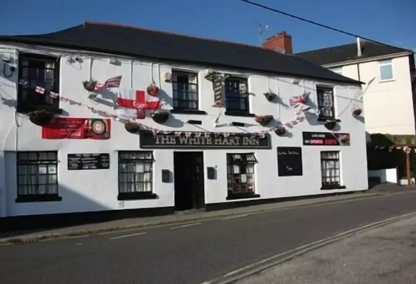 Отель White Hart