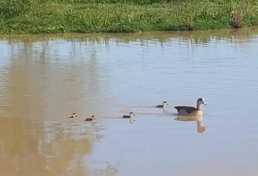 膳宿费 Hoopenburg Guesthouse