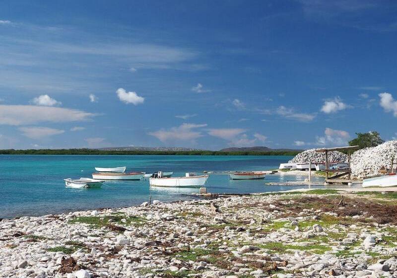 استراحتگاه Oasis Guesthouse, Boutique Style