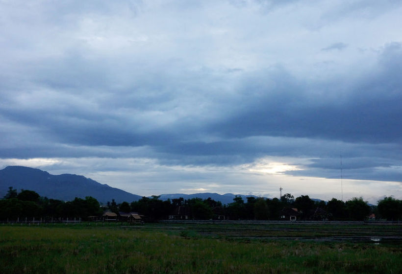 منتجع Palm Spa Village