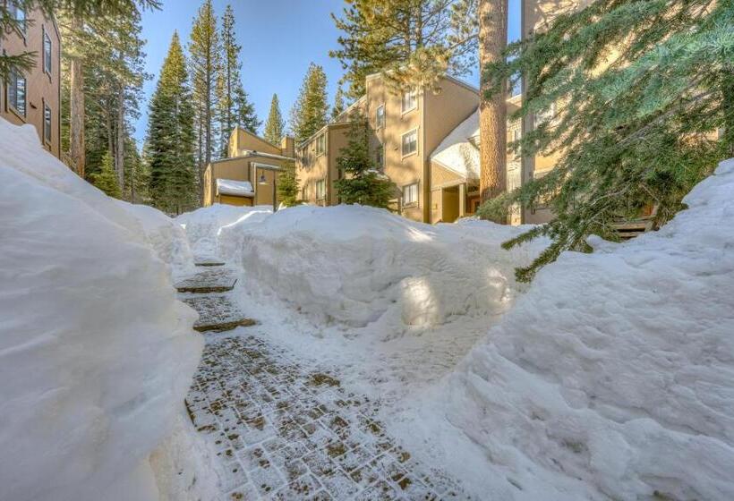 酒店 Great Northstar Condo