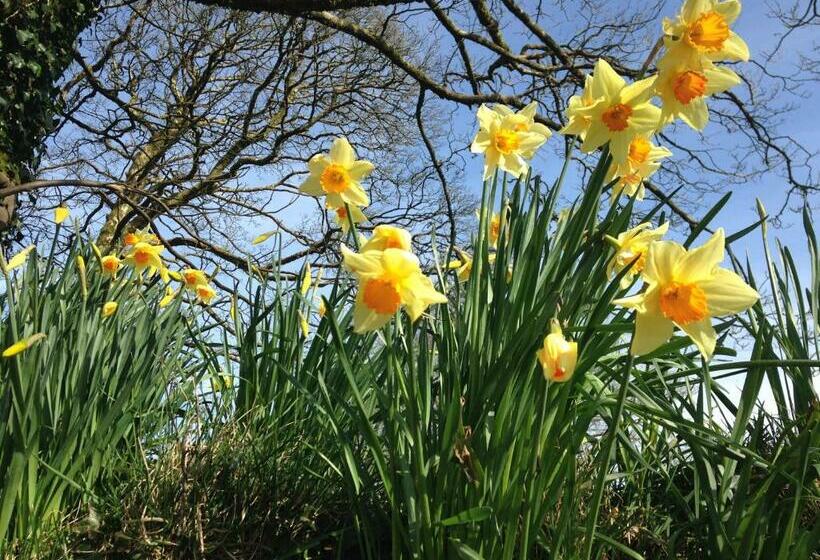 호텔 The Old Wagon House