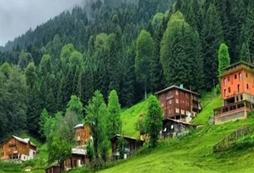 호텔 Didi Boutique