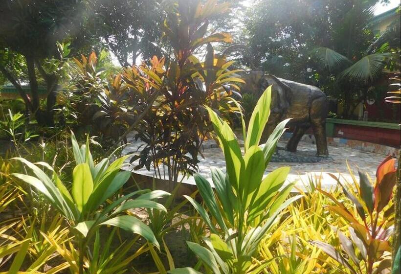 هتل Honeyland Beach Resort