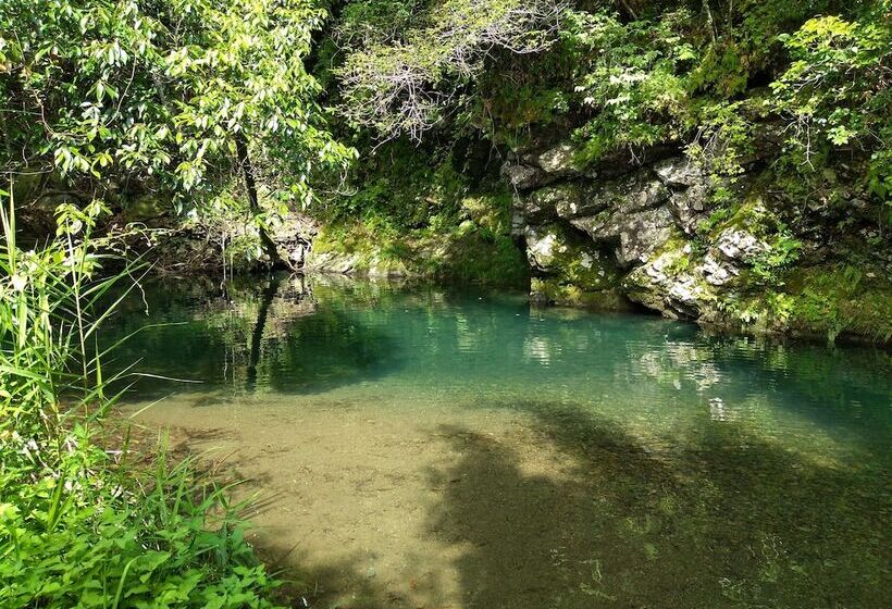 בית מלון כפרי Nouka Minshuku Kajika