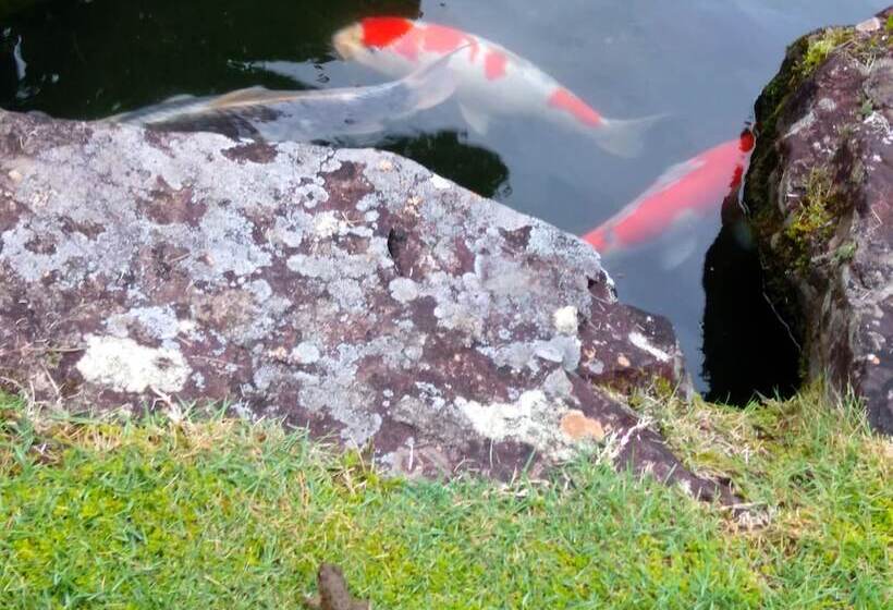 בית מלון כפרי Nouka Minshuku Kajika