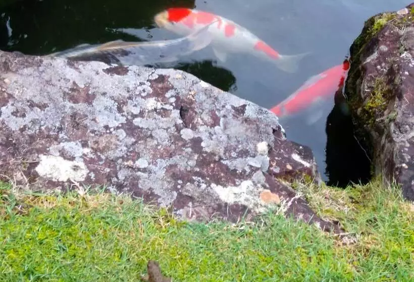 ホテル Nouka Minshuku Kajika