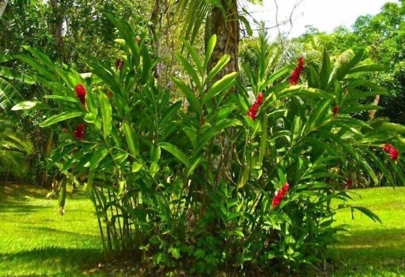 فندق Costa Del Sol