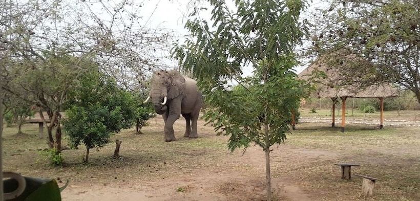 هتل Engiri Game Lodge And Campsite