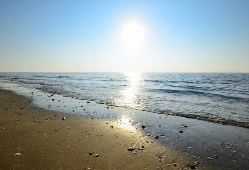 Hotel Gochang Finlanche Pension