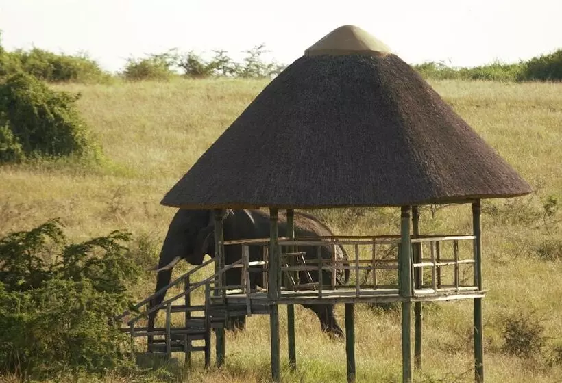 هتل Kasenyi Safari Camp