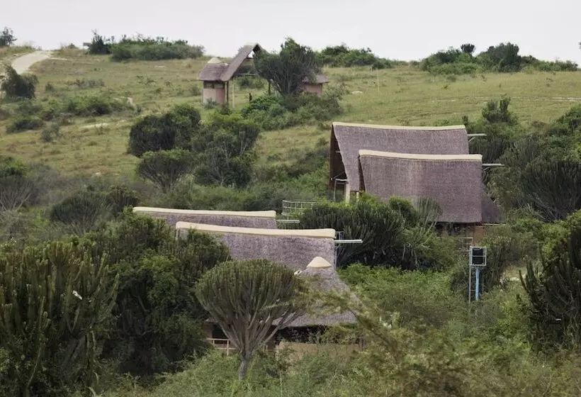 هتل Kasenyi Safari Camp