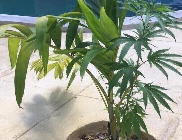 هتل Tha Lagoon Spot