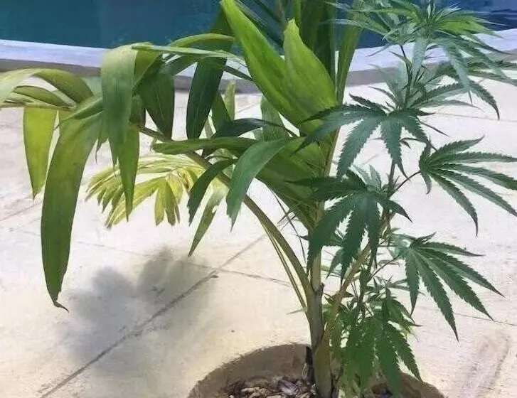 هتل Tha Lagoon Spot