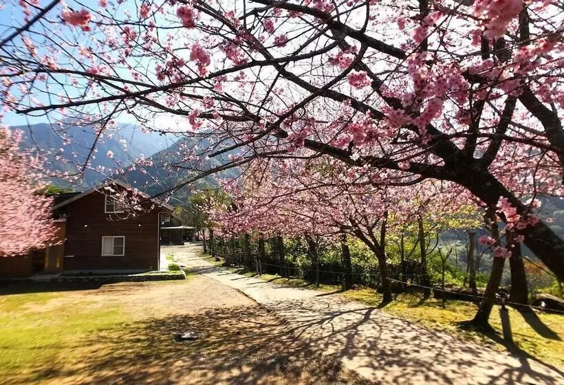 هتل Umas Hostel
