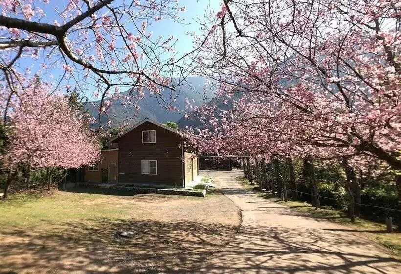 هتل Umas Hostel