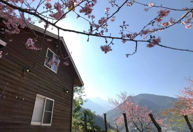 هتل Umas Hostel