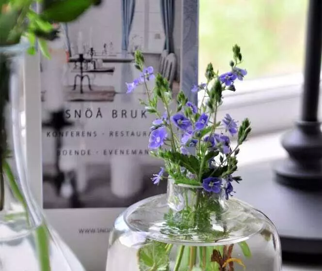 Snöå Bruk Hotell Och Konferens