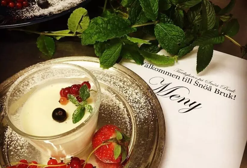 Snöå Bruk Hotell Och Konferens