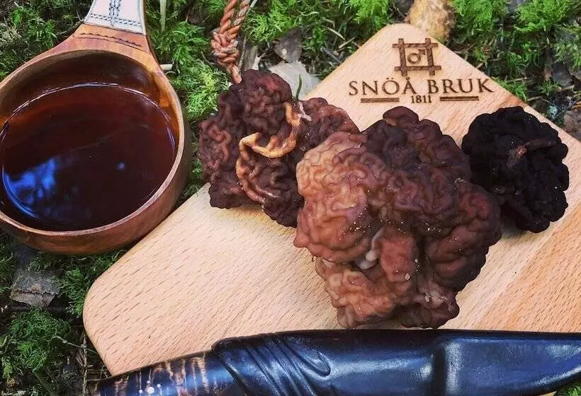 Snöå Bruk Hotell Och Konferens