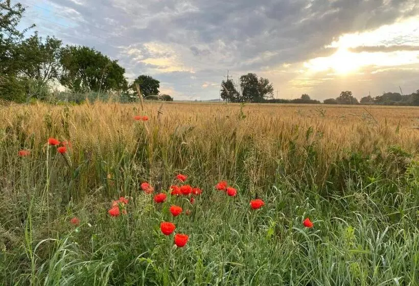 Retkeilymaja Dworek Bielin