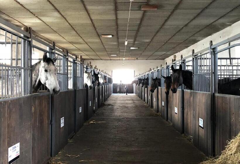 旅馆 Dworek Bielin