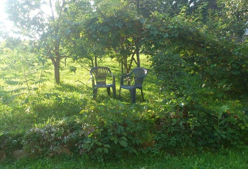 酒店 Agroturystyka Janiczek Tuchów