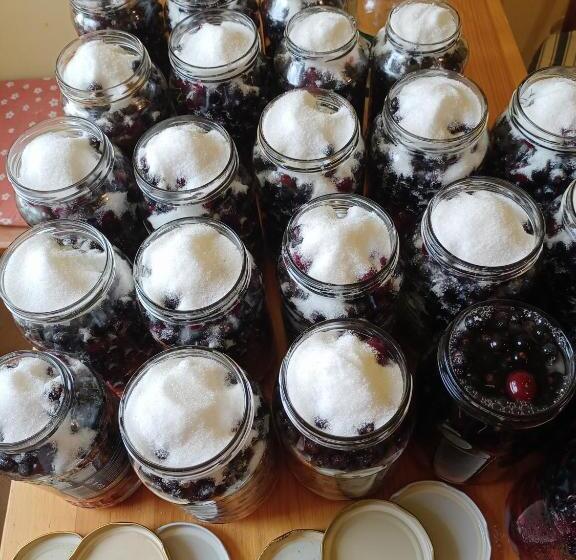 酒店 Agroturystyka Janiczek Tuchów