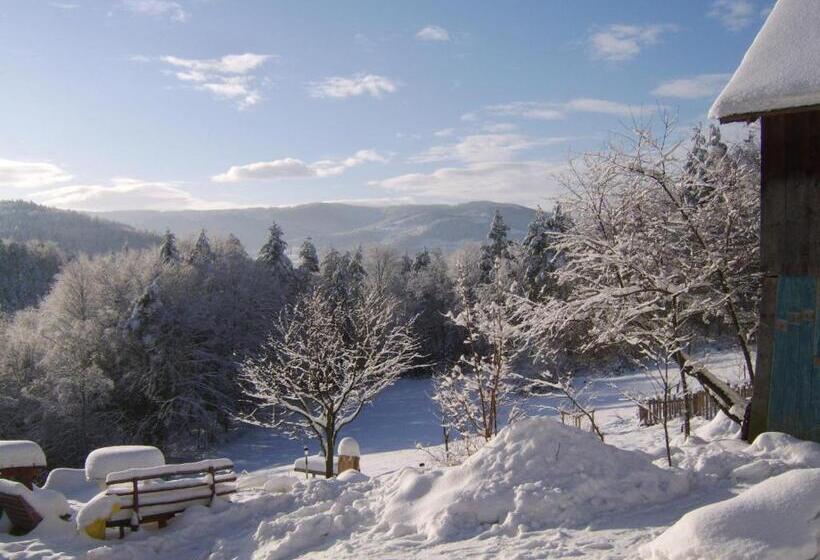 فندق Agroturystyka Millerówka