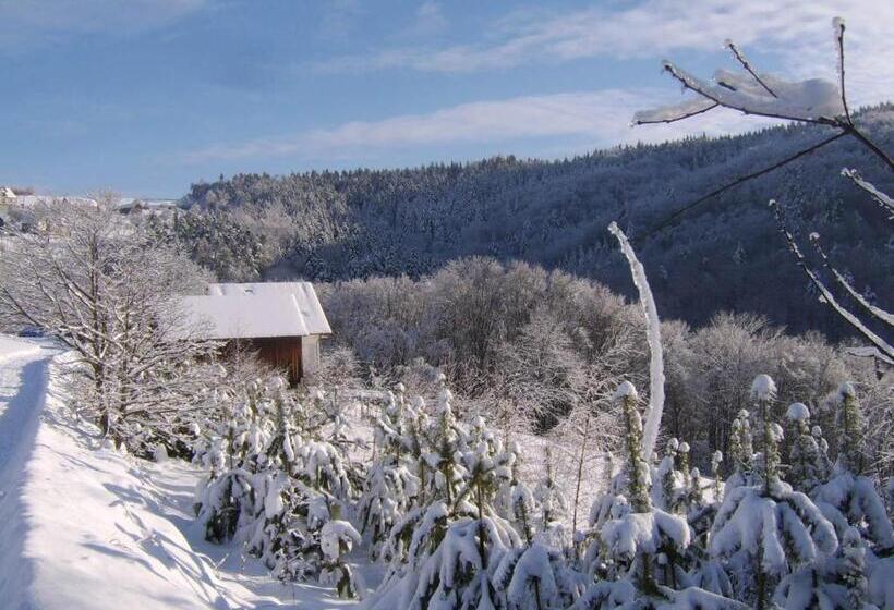 فندق Agroturystyka Millerówka