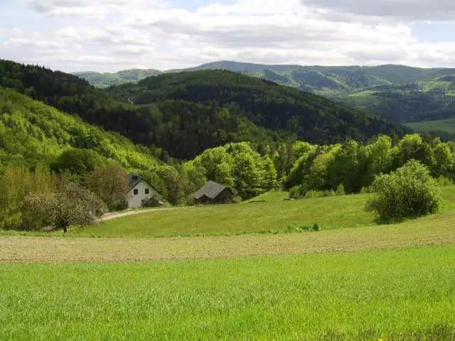 ホテル Agroturystyka Millerówka