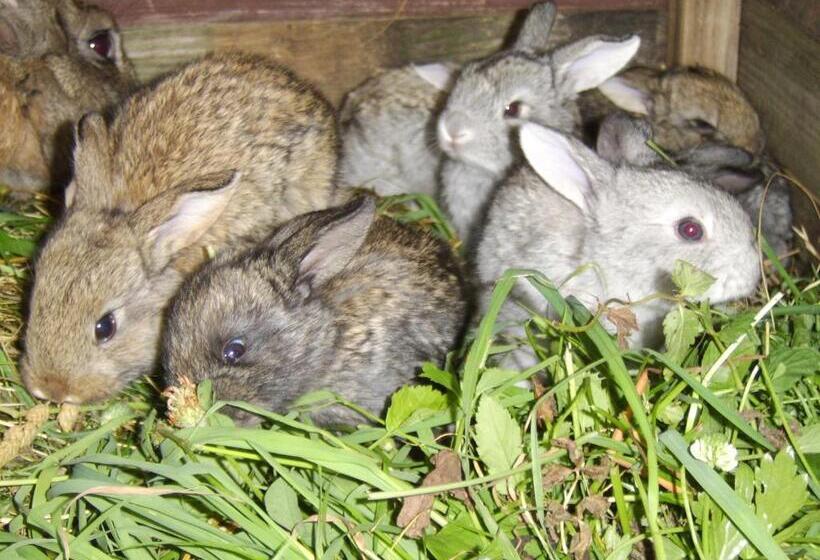 فندق Agroturystyka Millerówka