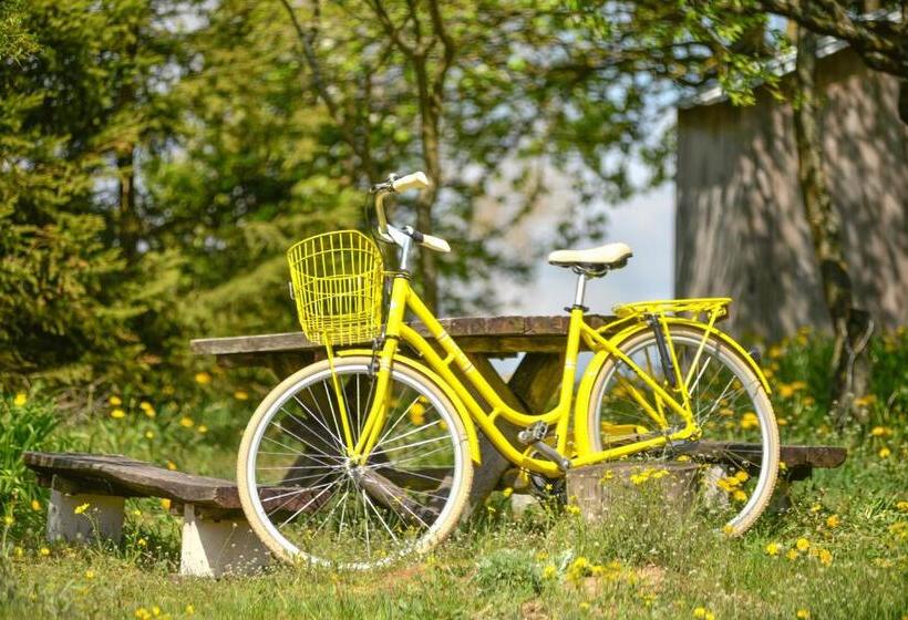 酒店 Agroturystyka Olzoja