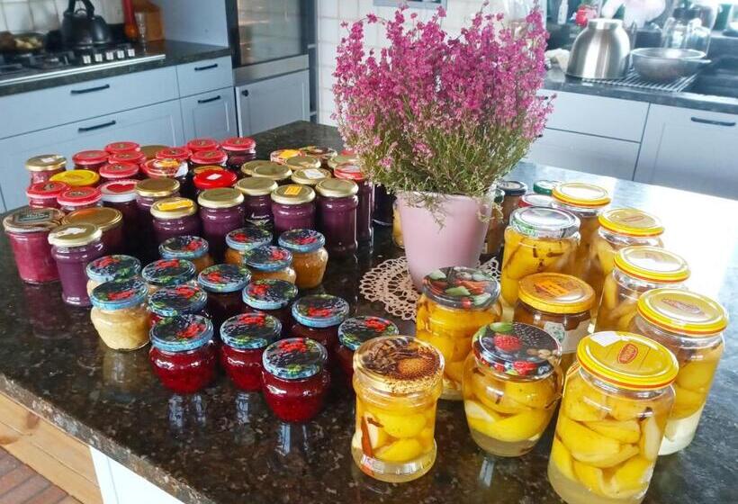 酒店 Agroturystyka Olzoja