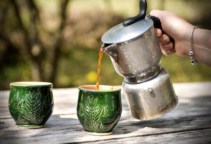 酒店 Agroturystyka Olzoja