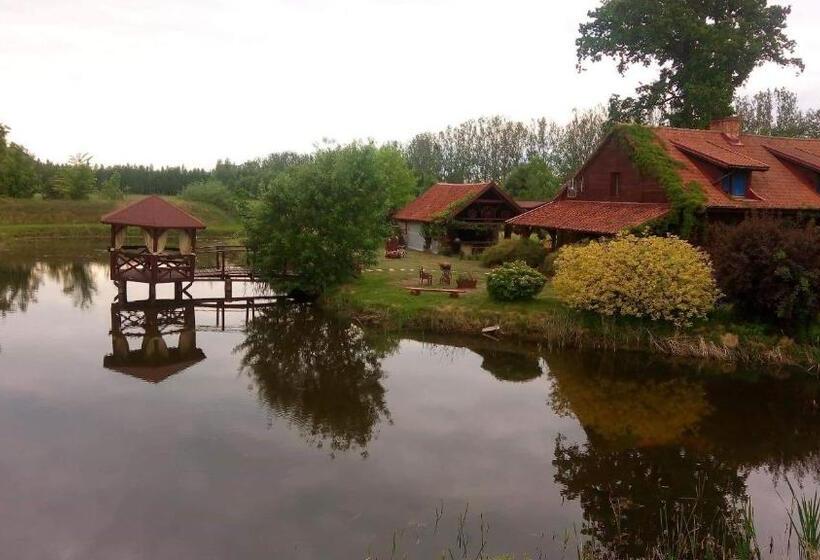 호텔 Agroturystyka Siedlisko Pod Dębami