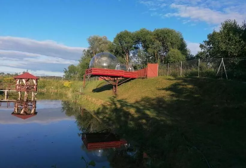 ホテル Agroturystyka Siedlisko Pod Dębami