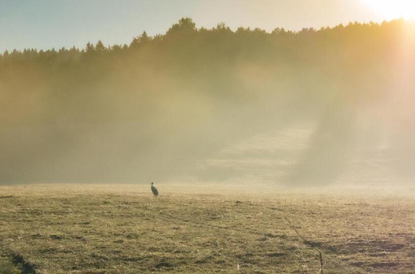 Отель Nad Panną
