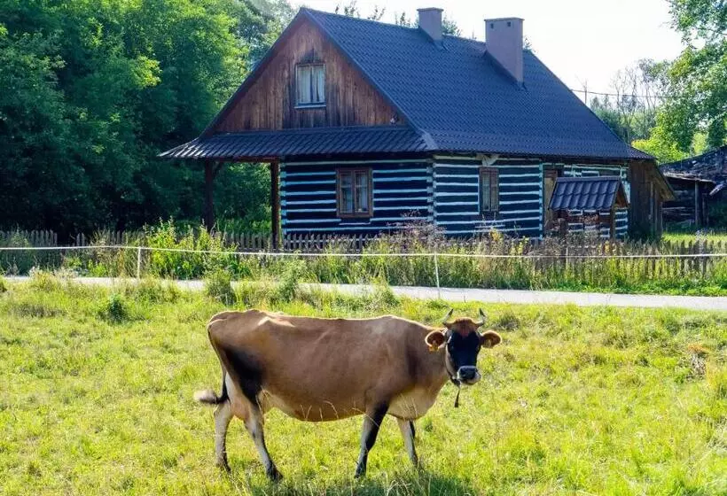 ホテル Nad Panną