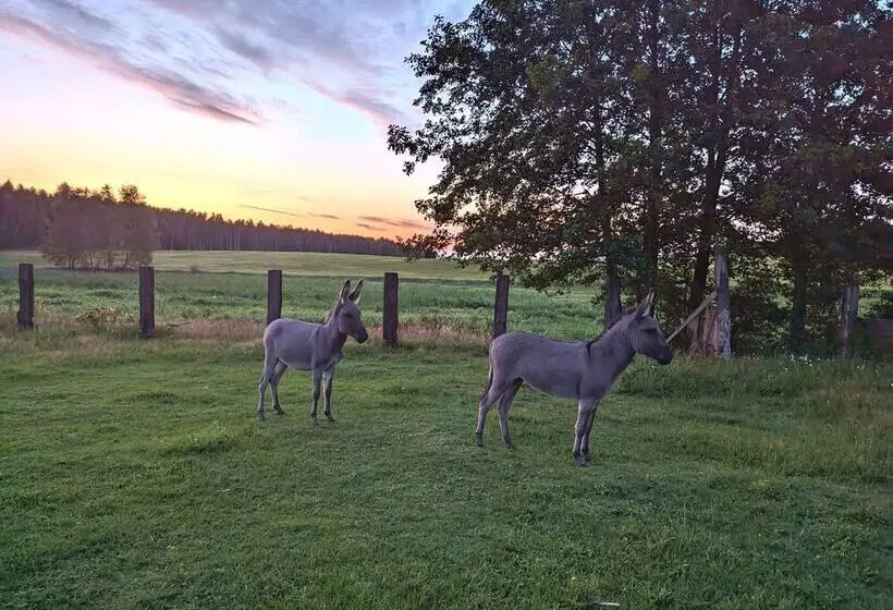 Hotelli Ranczo Annabella