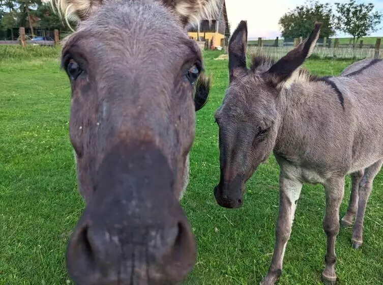 Hotelli Ranczo Annabella