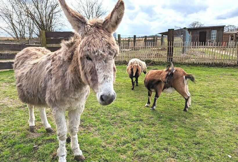 호텔 Ranczo Annabella