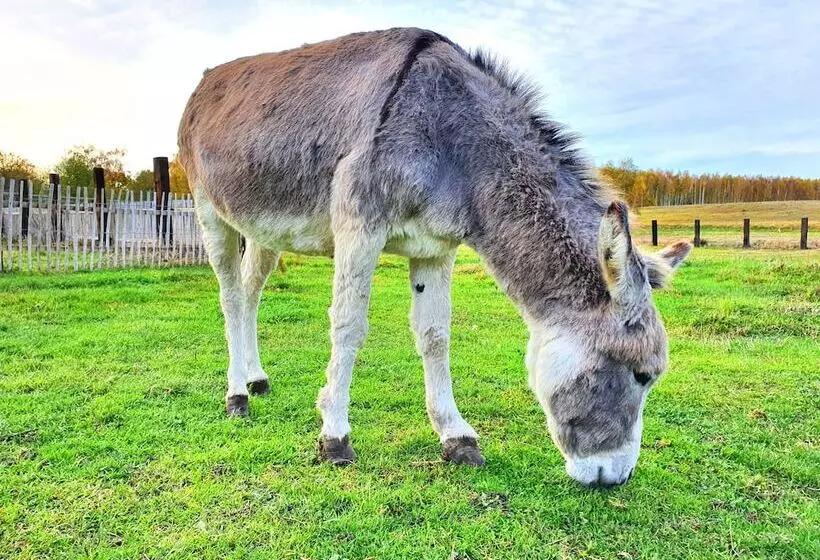 Hotelli Ranczo Annabella