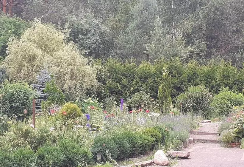 Majatalo Noclegi Pod Dębem, Pulandia Brzózki