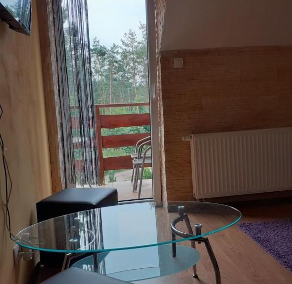 Pension Noclegi Pod Dębem, Pulandia Brzózki