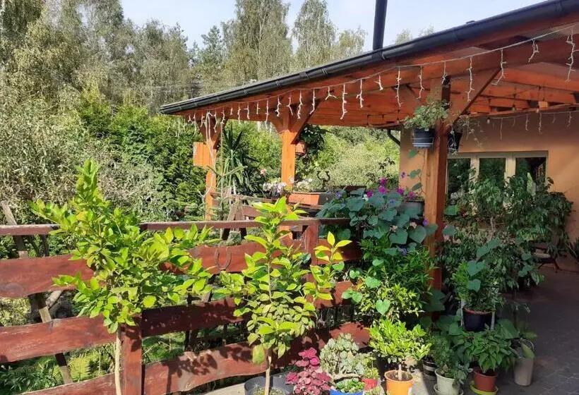 Majatalo Noclegi Pod Dębem, Pulandia Brzózki