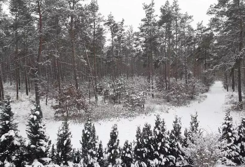 Majatalo Noclegi Pod Dębem, Pulandia Brzózki