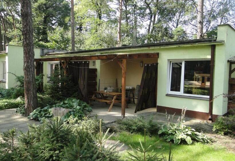 渡假胜地 Sławska Poręba